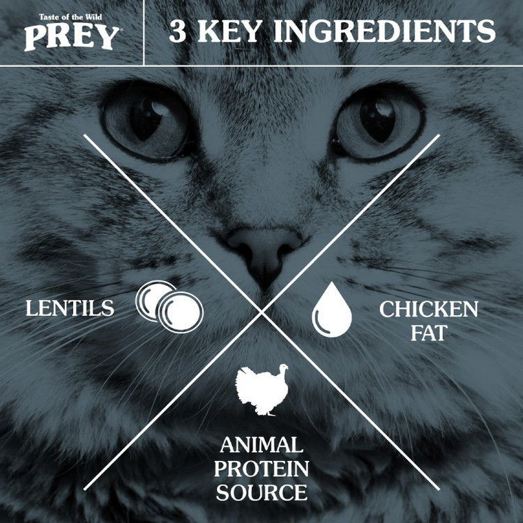غذای خشک گربه بالغ تیست آف ویلد مدل Prey Limited Ingredient Recipe طعم گوشت بوقلمون وزن ۶.۸ کیلوگرم