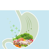 بستنی گربه ونپی مدل سفارش چین با طعم ماهی تن و میگو بسته 5 عددی