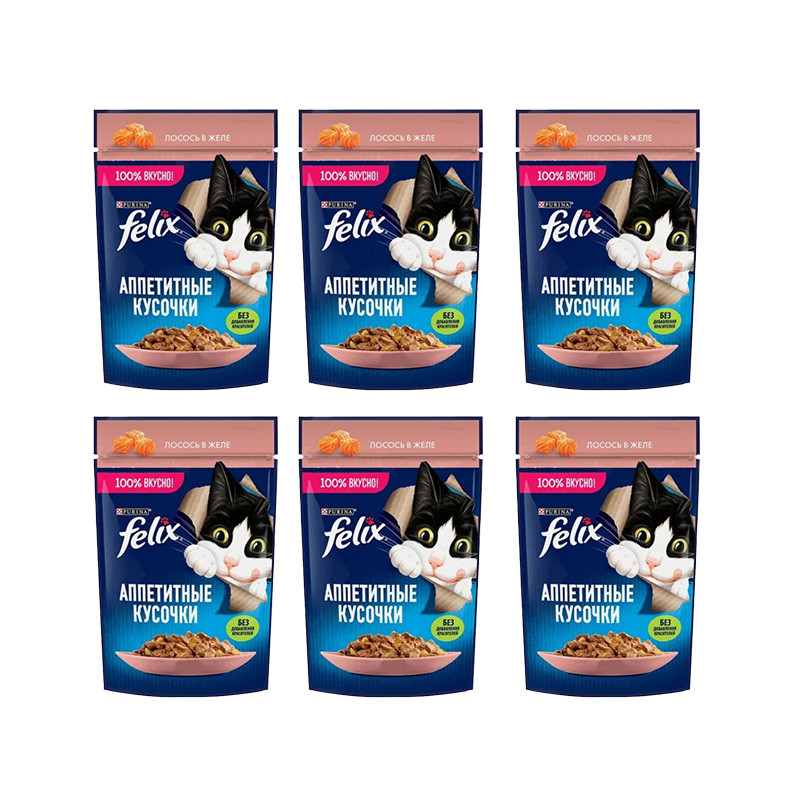پوچ گربه بالغ فلیکس مدل in Jelly طعم ماهی سالمون وزن 450 گرم بسته 6 عددی