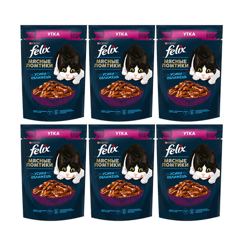 پوچ گربه فلیکس مدل in Sauce طعم اردک وزن 410 گرم بسته 6 عددی