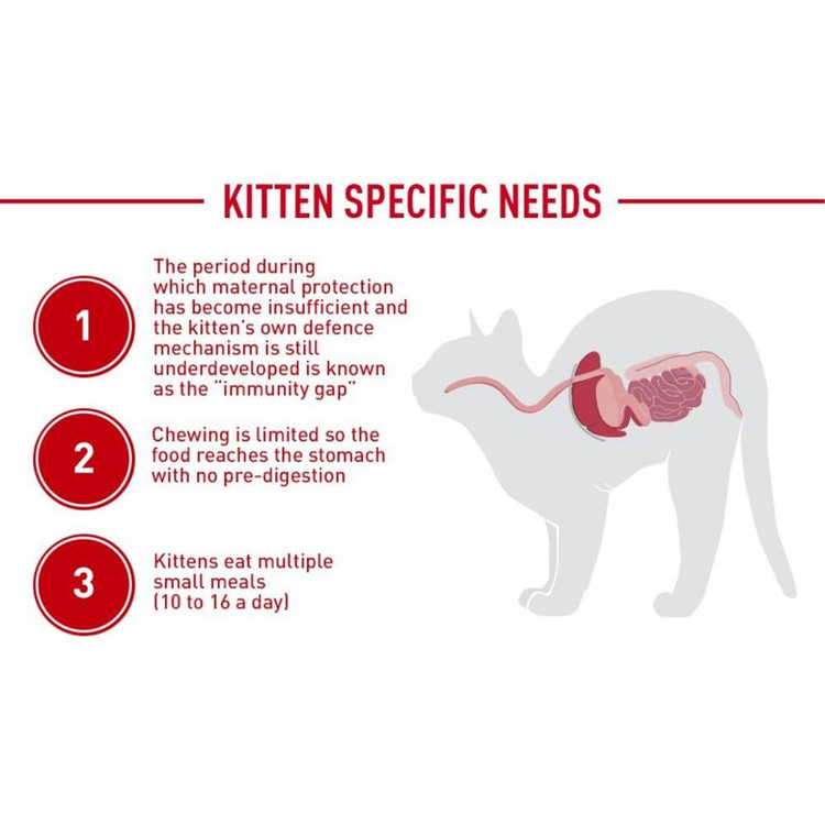 غذای خشک بچه گربه رویال کنین مدل Second age kitten وزن ۲ کیلوگرم