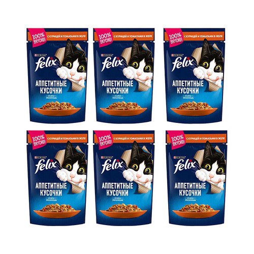 پوچ گربه بالغ فلیکس مدل In Jelly طعم مرغ و گوجه فرنگی وزن 450 گرم بسته 6 عددی